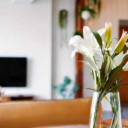 Historic City Center Design Apartments - Schlossberg View - By Casa Momo 아파트 *