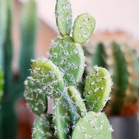 Historic City Center Design Apartments - Schlossberg View - By Casa Momo *