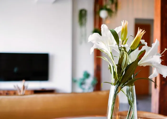 Historic City Center Design Apartments - Schlossberg View - By Casa Momo Appartement *