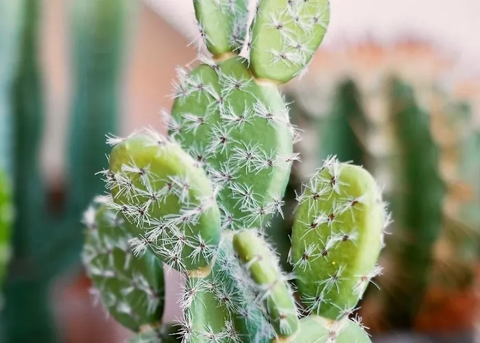 Historic City Center Design Apartments - Schlossberg View - By Casa Momo *