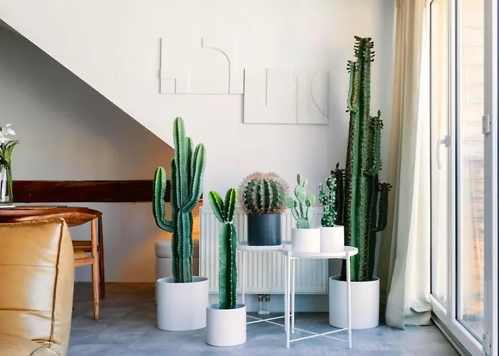 Center Design - Schlossberg View - Casa Momo 格拉茨