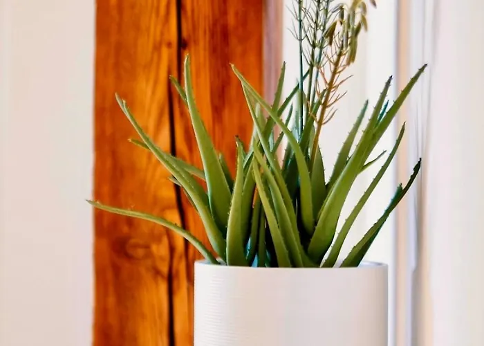 Apartment City Center Design Apartments - Schlossberg View - Casa Momo Graz